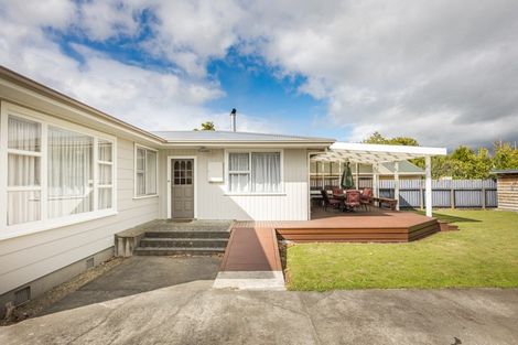 Photo of property in 145 Stanford Street North, Ashhurst, 4810