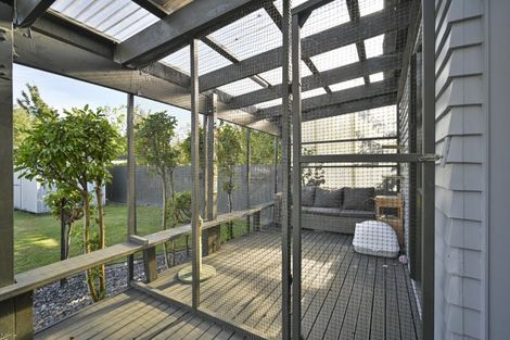 Photo of property in 1212 Jellicoe Street, Mayfair, Hastings, 4122