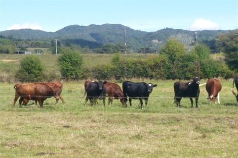 Photo of property in 99 Franklin Road, Freemans Bay, Auckland, 1011