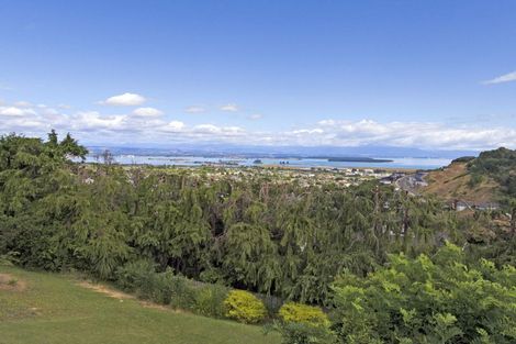 Photo of property in 62 Newman Drive, Enner Glynn, Nelson, 7011