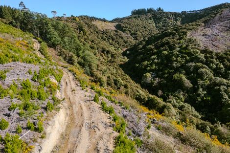 Photo of property in 24 Duncan Road, St Andrews, Hamilton, 3200