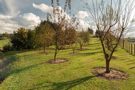 Photo of property in 25c Youngson Road, Whakamarama, Tauranga, 3180