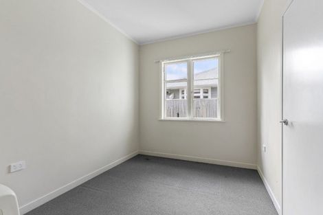 Photo of property in 48 Premier Avenue, Point Chevalier, Auckland, 1022