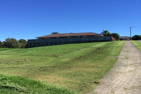 Photo of property in 46 Merriman Place, Pyes Pa, Tauranga, 3112