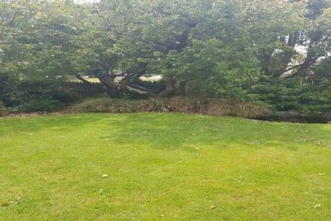 Photo of property in 54 Wilson Street, Geraldine, 7930