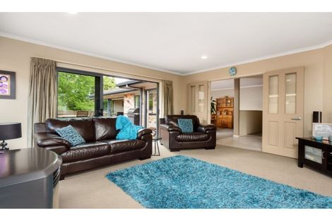 Photo of property in 117 Hollister Lane, Ohauiti, Tauranga, 3112