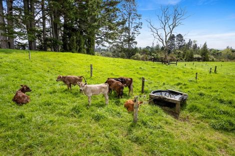 Photo of property in 790 Belk Road, Omanawa, Tauranga, 3171