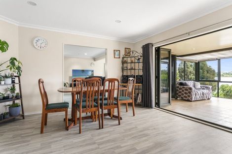 Photo of property in 117 Haukore Street, Hairini, Tauranga, 3112