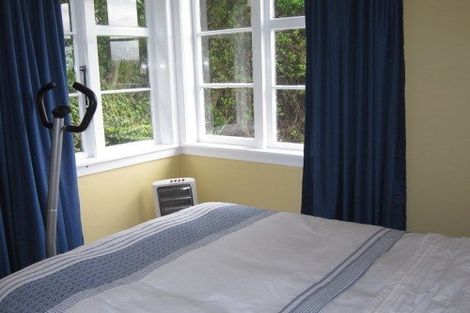 Photo of property in 93 Balfour Street, Mornington, Wellington, 6021