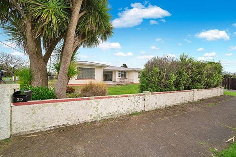 Photo of property in 25 Fantham Street, Hawera, 4610