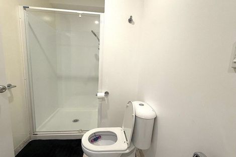 Photo of property in 1/5 Liverpool Street, Dunedin Central, Dunedin, 9016