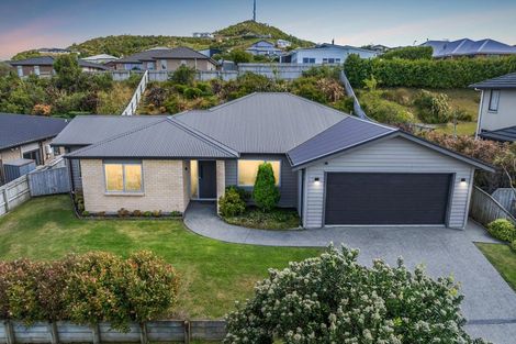 Photo of property in 17 Kaimai Place, Aotea, Porirua, 5024