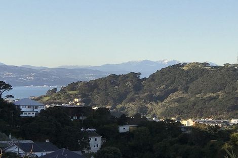 Photo of property in 2 Hoggard Street, Vogeltown, Wellington, 6021