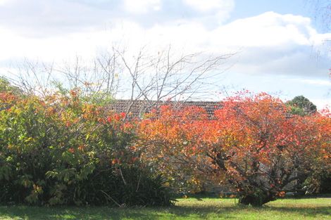 Photo of property in 11 Jennifer Place, Papatoetoe, Auckland, 2025