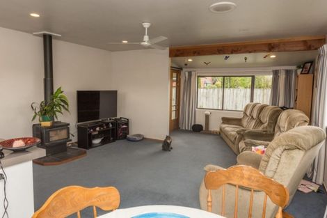 Photo of property in 51 Racecourse Avenue, Methven, 7730