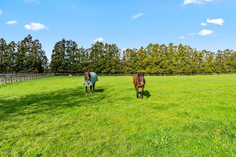 Photo of property in 42 Dysart Lane, Kumeu, 0891