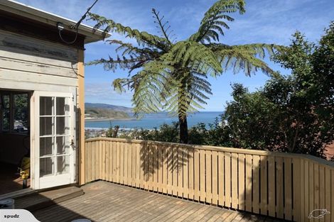 Photo of property in 45 Sutherland Road, Melrose, Wellington, 6023