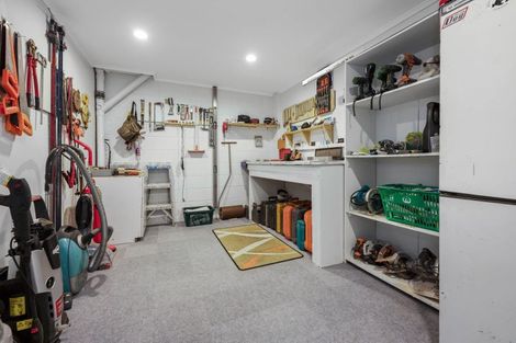 Photo of property in 51 Dinsdale Road, Dinsdale, Hamilton, 3204