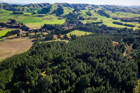 Photo of property in 8p Davaar Road, Greta Valley, 7387