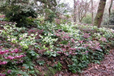 Photo of property in 38 Grammar Street, Kimbolton, 4777