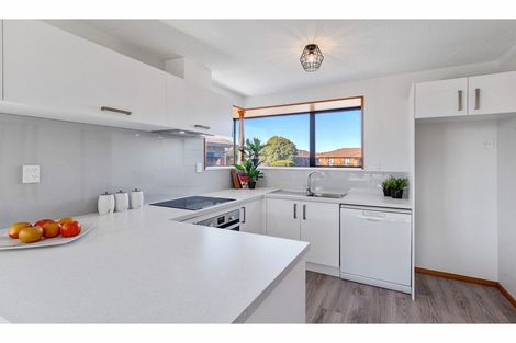 Photo of property in 7 Peebles Drive, Hei Hei, Christchurch, 8042