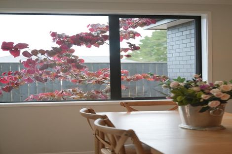 Photo of property in 47 Metoriti Crescent, Karaka, 2124