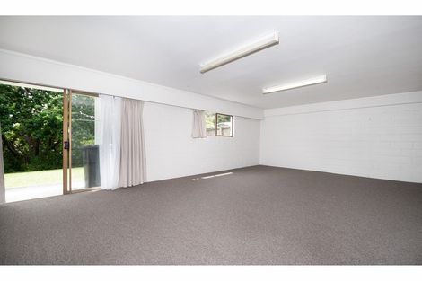 Photo of property in 21 Marydale Drive, Mount Roskill, Auckland, 1041