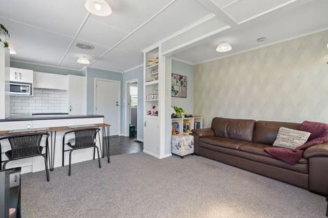 Photo of property in 301 Dey Street, Hamilton East, Hamilton, 3216