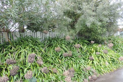 Photo of property in 33 Smith Street, Matamata, 3400