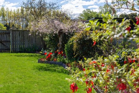Photo of property in 32 Andrew Street, Kuripuni, Masterton, 5810
