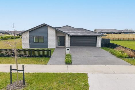 Photo of property in 10 Hoki Avenue, Morrinsville, 3300