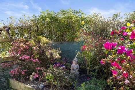 Photo of property in 7 Davies Street, Paeroa, 3600