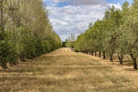 Photo of property in 179 Racecourse Road, Amberley, 7482