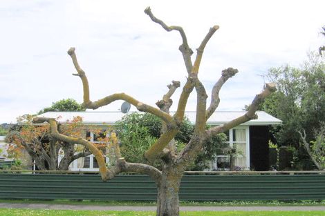 Photo of property in 41 Oak Street, Mangapapa, Gisborne, 4010