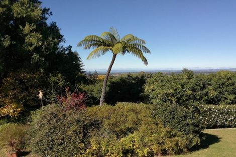 Photo of property in 6a Woodland Road, Tahawai, Katikati, 3170