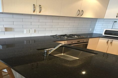 Photo of property in The Nautilus Apartments, 6b/18 Hobson Street, Auckland Central, Auckland, 1010