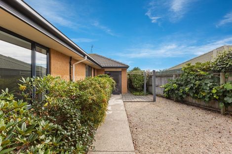 Photo of property in 33 Monaghan Street, Northwood, Christchurch, 8051