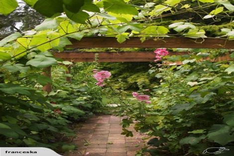 Photo of property in 391 Kaipara Coast Highway, Helensville, Kaukapakapa, 0871