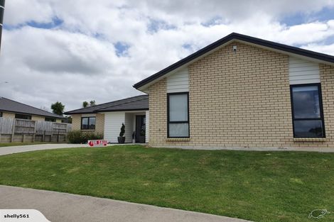 Photo of property in 14 Patatee Terrace, Baverstock, Hamilton, 3200