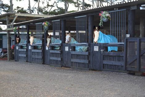 Photo of property in 96 Westhead Road, Pollok, Waiuku, 2683