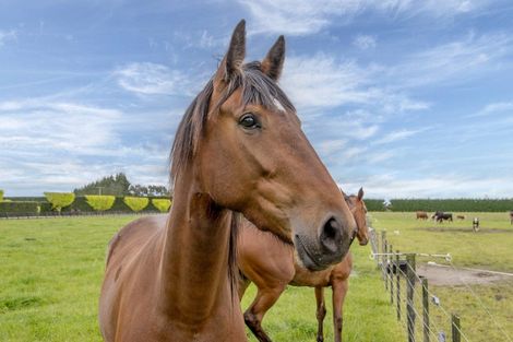Photo of property in 763 Drain Road, Leeston, 7682