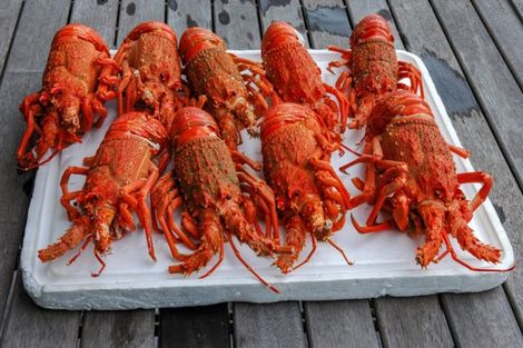 Photo of property in 8b Koura Crescent, Mahia, 4198