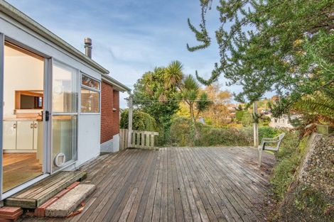 Photo of property in 20 Brunel Street, Mornington, Dunedin, 9011