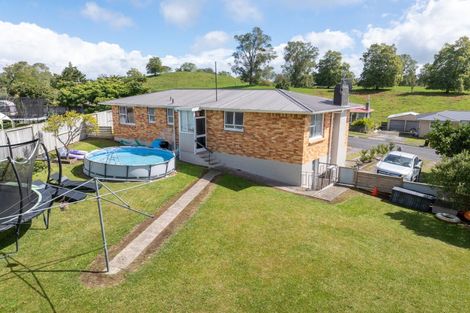 Photo of property in 95 Reservoir Street, Putaruru, 3411