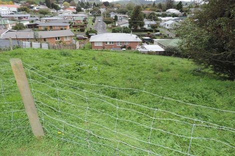 Photo of property in 9 Rose Street, Tirau, 3410