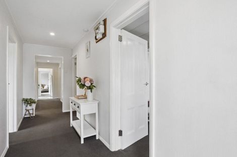 Photo of property in 16 Wairoa Street, Kaikorai, Dunedin, 9010