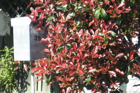 Photo of property in 38 Lakeview Terrace, Huntly, 3700