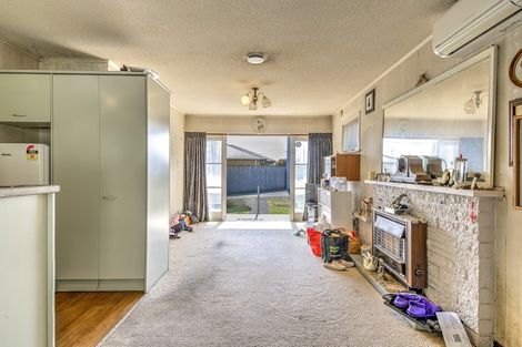 Photo of property in 105 Rimu Street, Maeroa, Hamilton, 3200