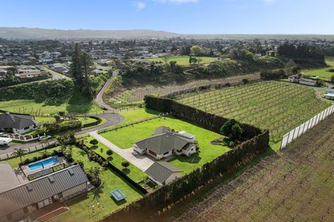 Photo of property in 57b Fairview Place, Te Puke, 3119