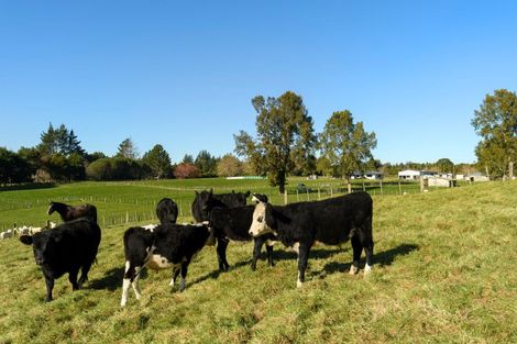 Photo of property in 1128d Omanawa Road, Omanawa, Tauranga, 3171